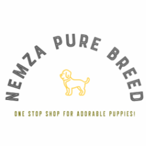 puppy breeds southafrica